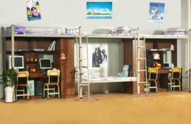 連發科教組合公寓床g014圖片,連發科教組合公寓床g014高清圖片 東莞市連發科教辦公設備廠,